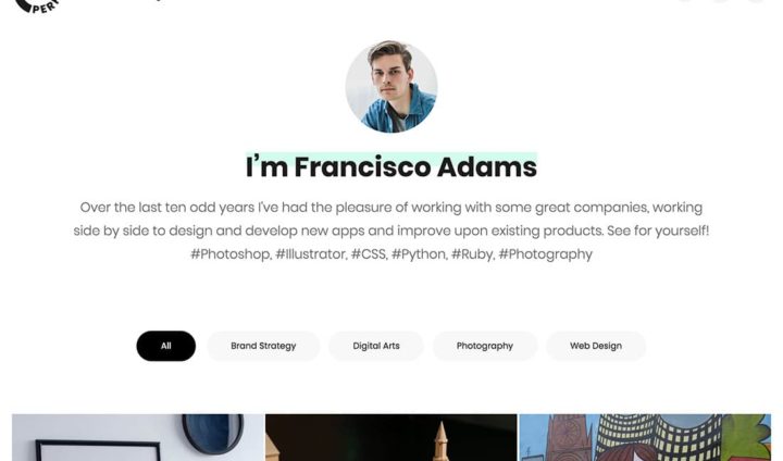35 Best Portfolio WordPress Themes 2022 - aThemes
